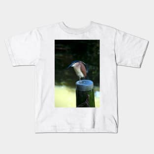 Rufous Night Heron Kids T-Shirt